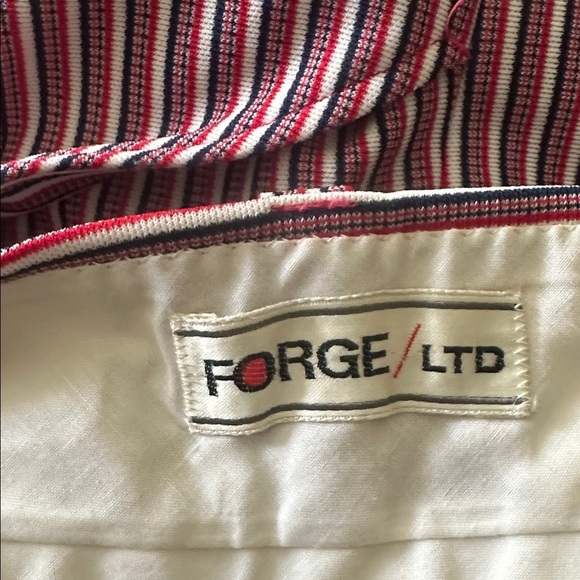 Forge/LTD - Picture 4 of 5